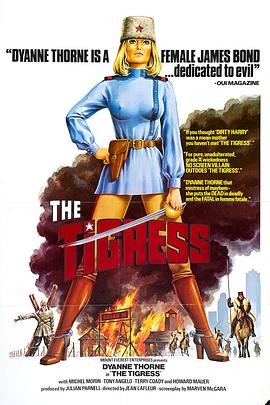 一个新网站该怎么优化